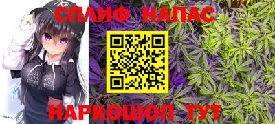 бошки Будённовск