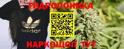 бошки Будённовск