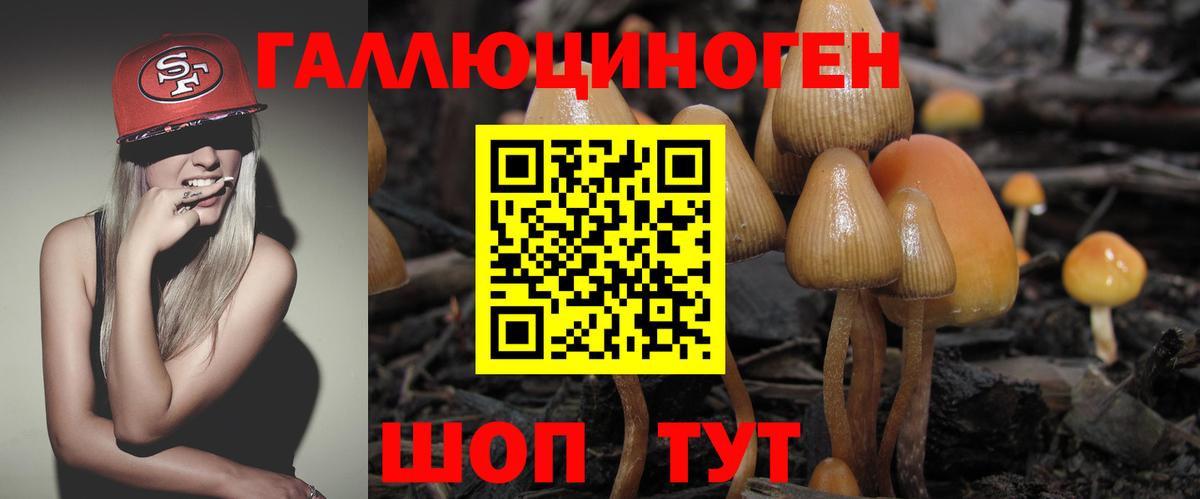 Псилоцибиновые грибы ЛСД  Галлюциногенные грибы прущие грибы  Вход с VPN  Кинешма 