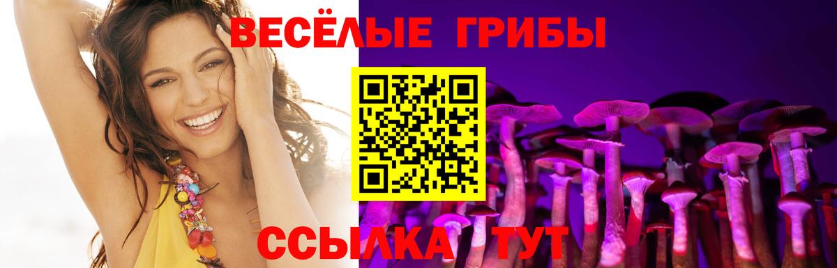 Галлюциногенные грибы ЛСД Кинешма